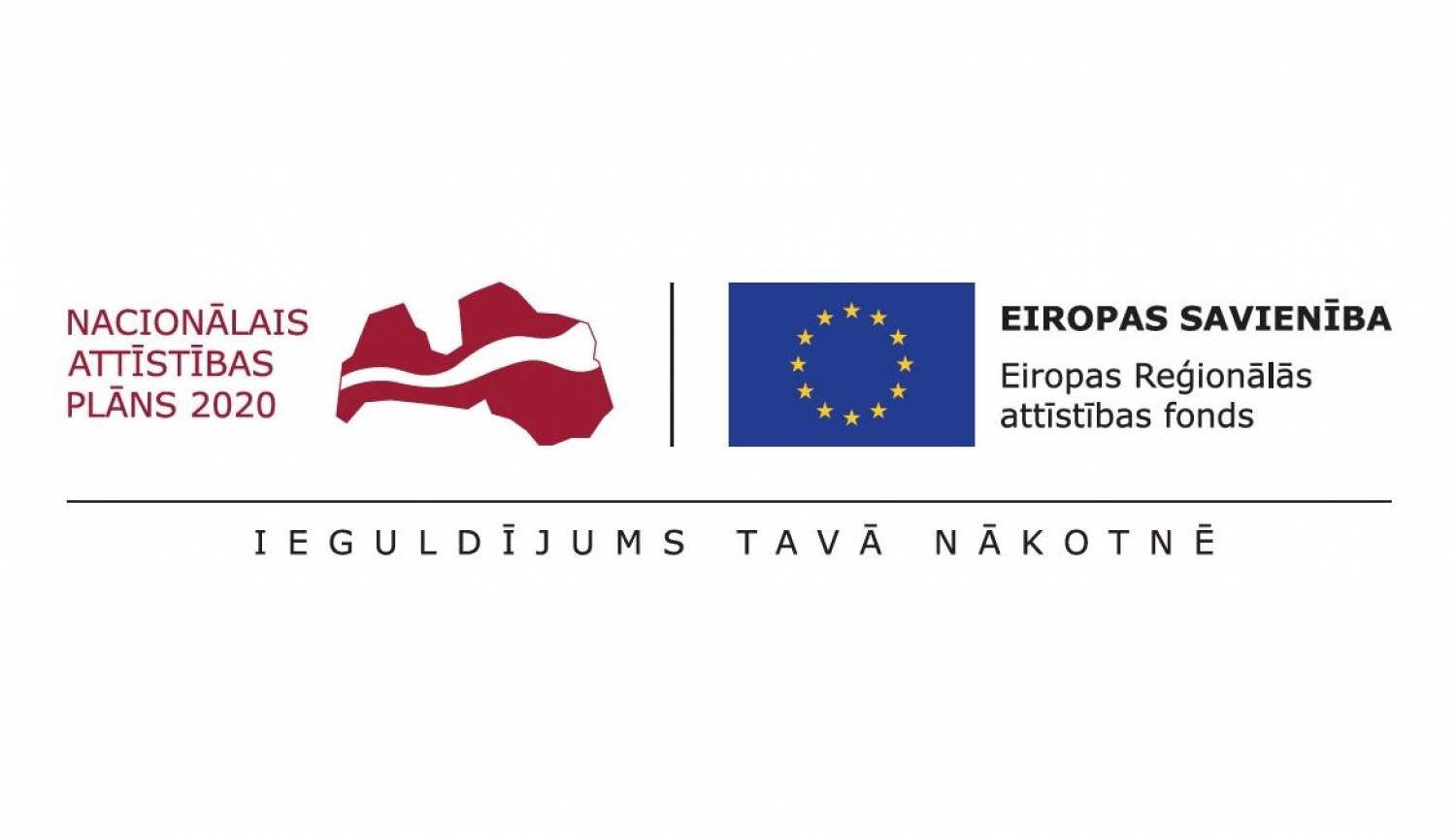 NAP un ERAF logo