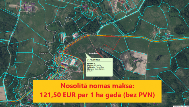Rezultāti izsolei Mazozoli, Tumšais purvs