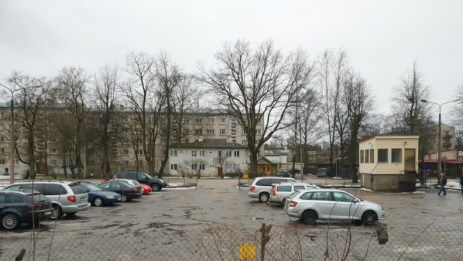 Paziņojums par publisko apspriešanu koku ciršanu Skolas ielā, Ogrē
