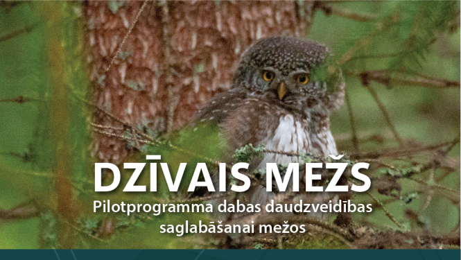 Veidos jaunus sadarbības modeļus dabas vērtību saglabāšanai privātajos mežos