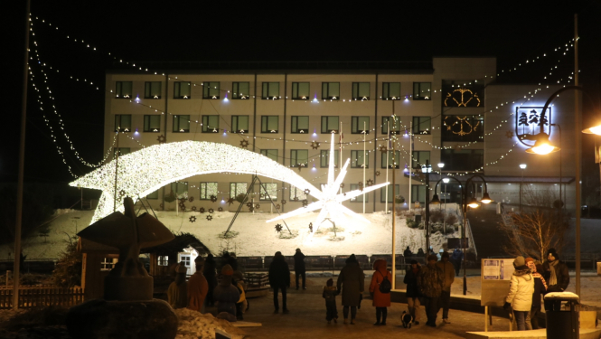 Zvaigzne 7