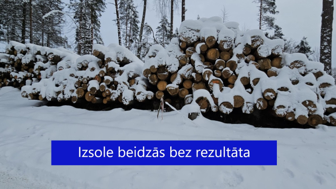 Apsnigusi zāģbaļķu kaudze 15.12.2023. ar uzrakstu bez rezultāta