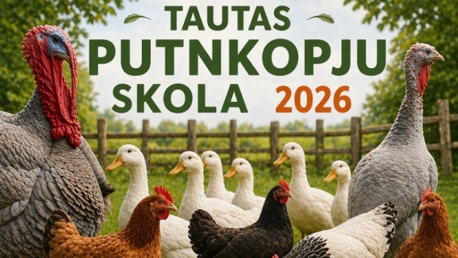 6. jūnijā 10.00 - 15.00 Brīvības ielas gājēju posmā (ielas nr. 22-32) Ģimenes dienas ietvaros Tautas putnkopju biedrība aicina gan mazus, gan lielus apmeklēt radošu, aktīvu, darbīgu un izglītojošus pasākumu "Tautas putnkopju skola 2026", ko biedrība organizē, izmantojot Ogres novada pašvaldības projektu konkursa ietvaros “R.A.D.I. – Ogres novadam” pašvaldības sniegto finansējumu.