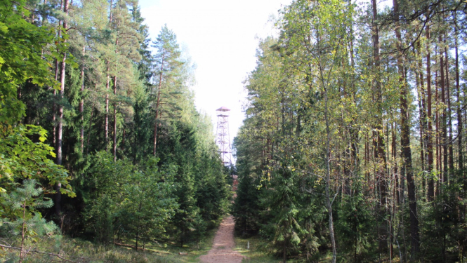 Zilie kalni tornis