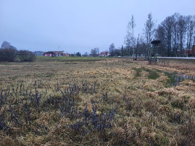 Lauksaimniecības zemes noma Madlienas pagastā aprīlis 2025