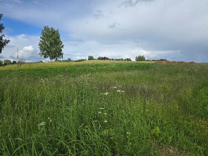 Nekustamā īpašuma Krastmalas ielā 20, Birzgalē, izsole. Zemes gabala ainava.