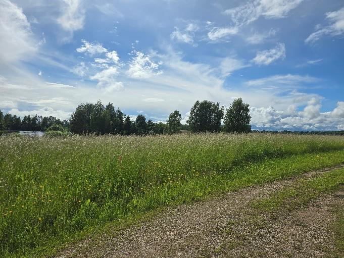  Nekustamā īpašuma Krastmalas ielā 16, Birzgalē, izsole. Ainava.