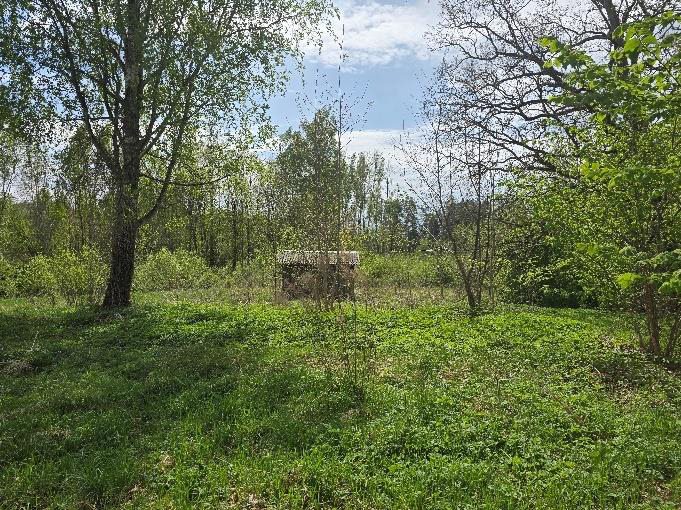 Ogres novada pašvaldībai piederoša nekustamā īpašuma – “Paēnas” , Ogresgala pag., Ogres nov. – izsole