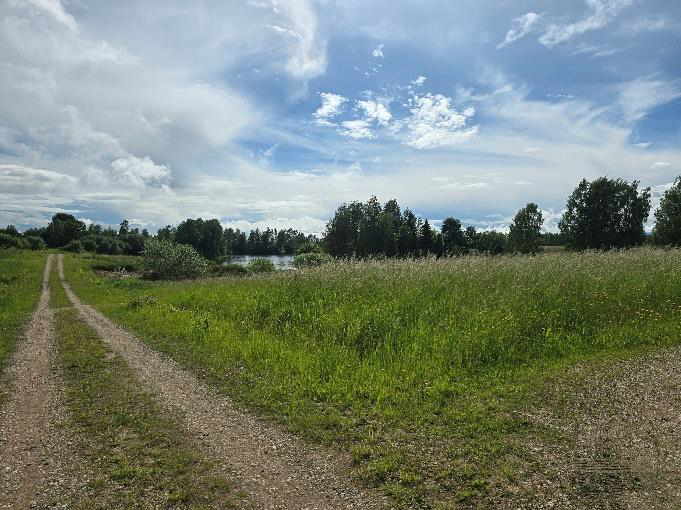  Nekustamā īpašuma Krastmalas ielā 16, Birzgalē, izsole. Ainava.