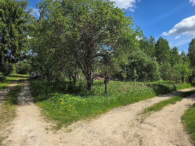 Pašvaldībai piederoša nekustamā īpašuma – “Druviņas 9” , Ogresgala pag., Ogres nov. – izsole. Piebraucamais ceļš