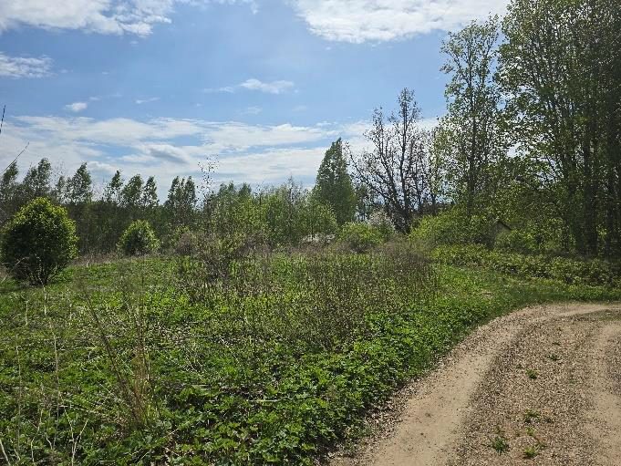 Ogres novada pašvaldībai piederoša nekustamā īpašuma – “Paēnas” , Ogresgala pag., Ogres nov. – izsole