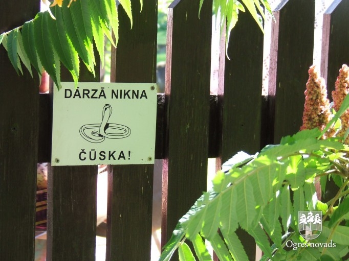 Ogres Invalīdu biedrības rokdarbu izstāde