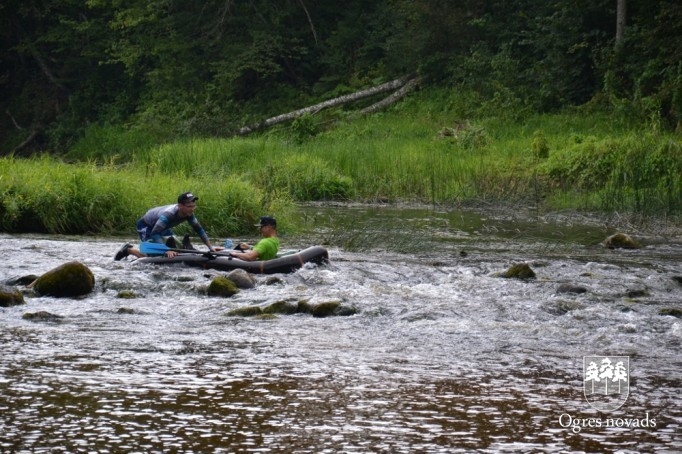 Foresta kauss 2014