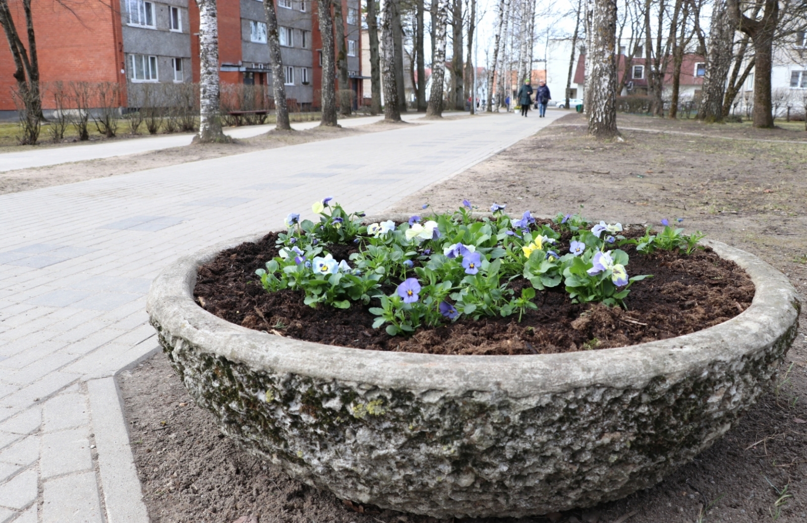 Apzaļumošana Ogrē. 12.04.2022.