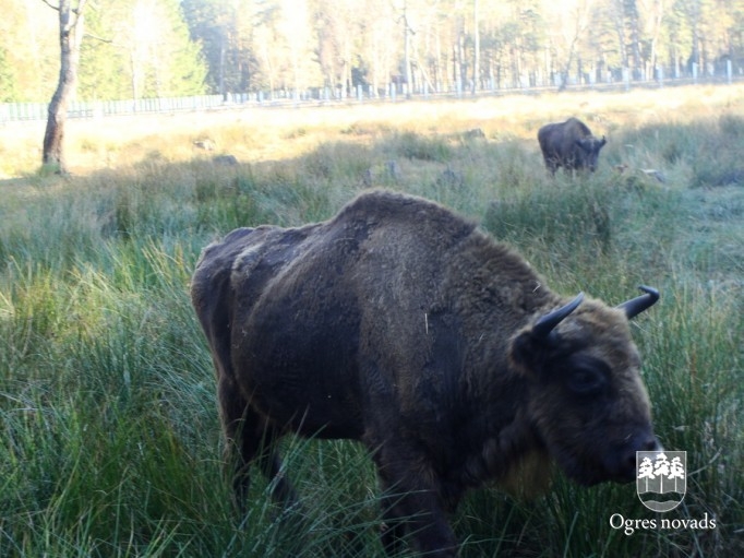 Ogres 1.vidusskolas skolotāji un skolēni viesojas Baltkrievijā