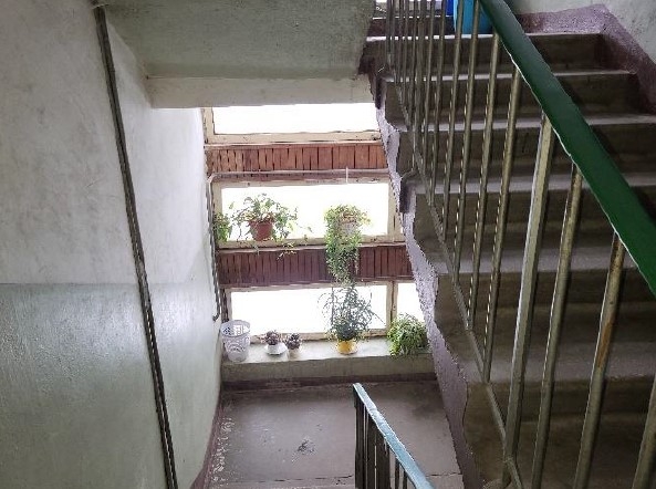 Kāpņu telpa ar logu un zaļojošiem augiem puķupodos