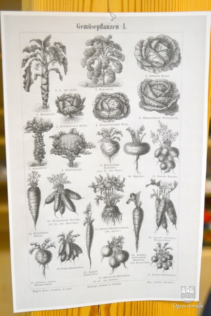 Ogrē turpinās starptautiskais keramikas un grafikas simpozijs