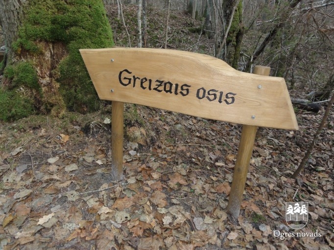 mazozoli_bildes_galerija-15