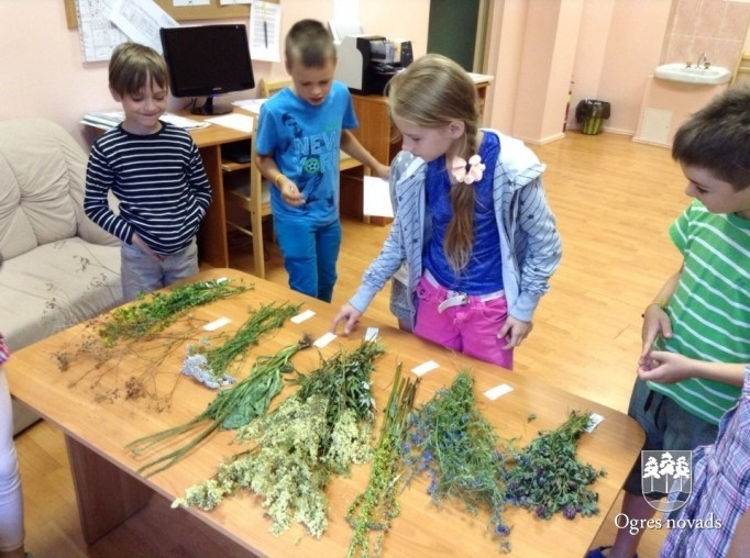 Ogres sākumskolā aizvadīta vides izglītības dienas nometne „3D – Domājošs dabas draugs”