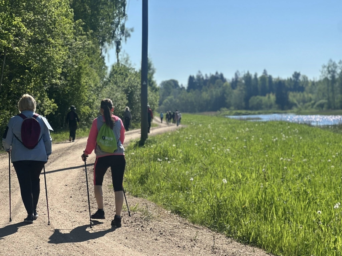 Oveselība nūjošanas pārgājienu cikla “Iepazīsti Ogres novadu!” 2. pārgājiens Lauberē
