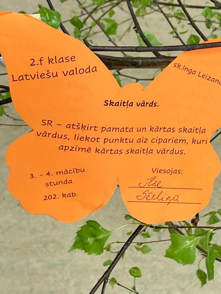 Ogres novada sākumskolas skolēni piedalās skolēnu latviešu valodas un matemātikas olimpiādēs