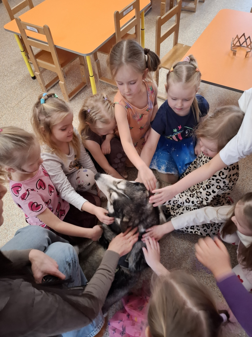 PII Dzīpariņš aktīvais pavasaris