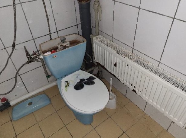 Vannas istaba ar tualetes podu pelēkzilā tonī