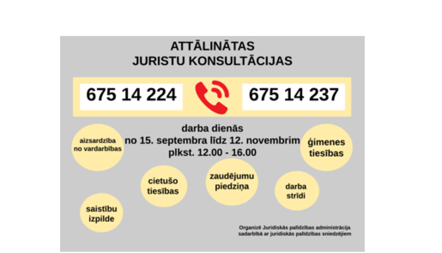 Konsultacijas