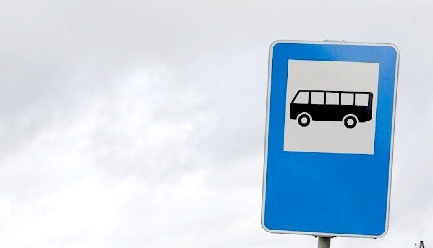 Autobusa pietura
