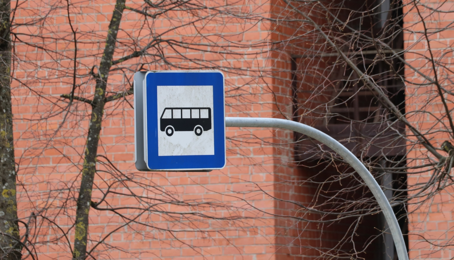 Autobusa pietura