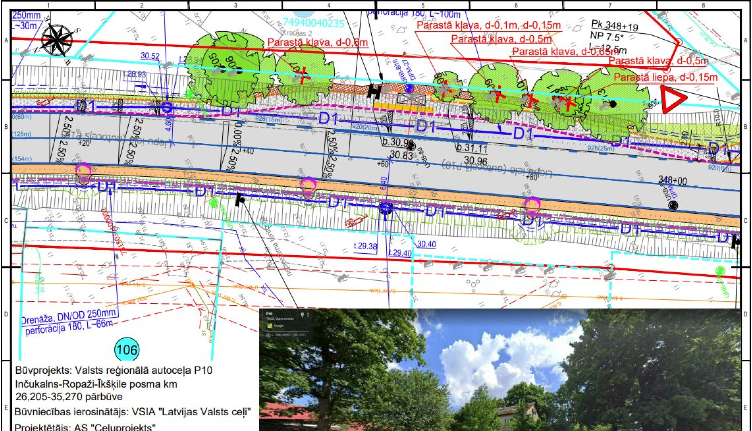 KOKU CIRŠANAS PLANS TINUZI 09082022