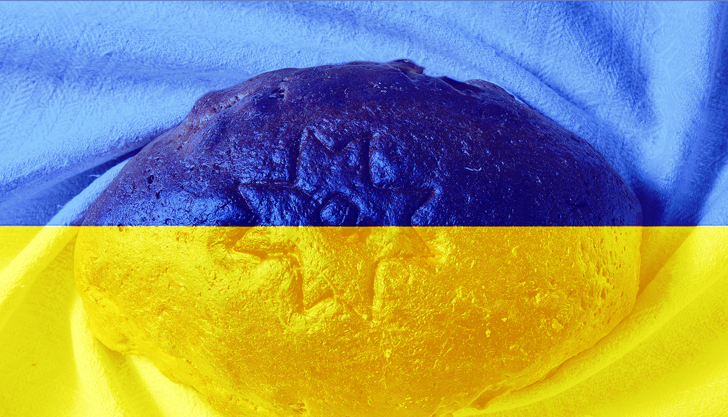 Maize Ukraina