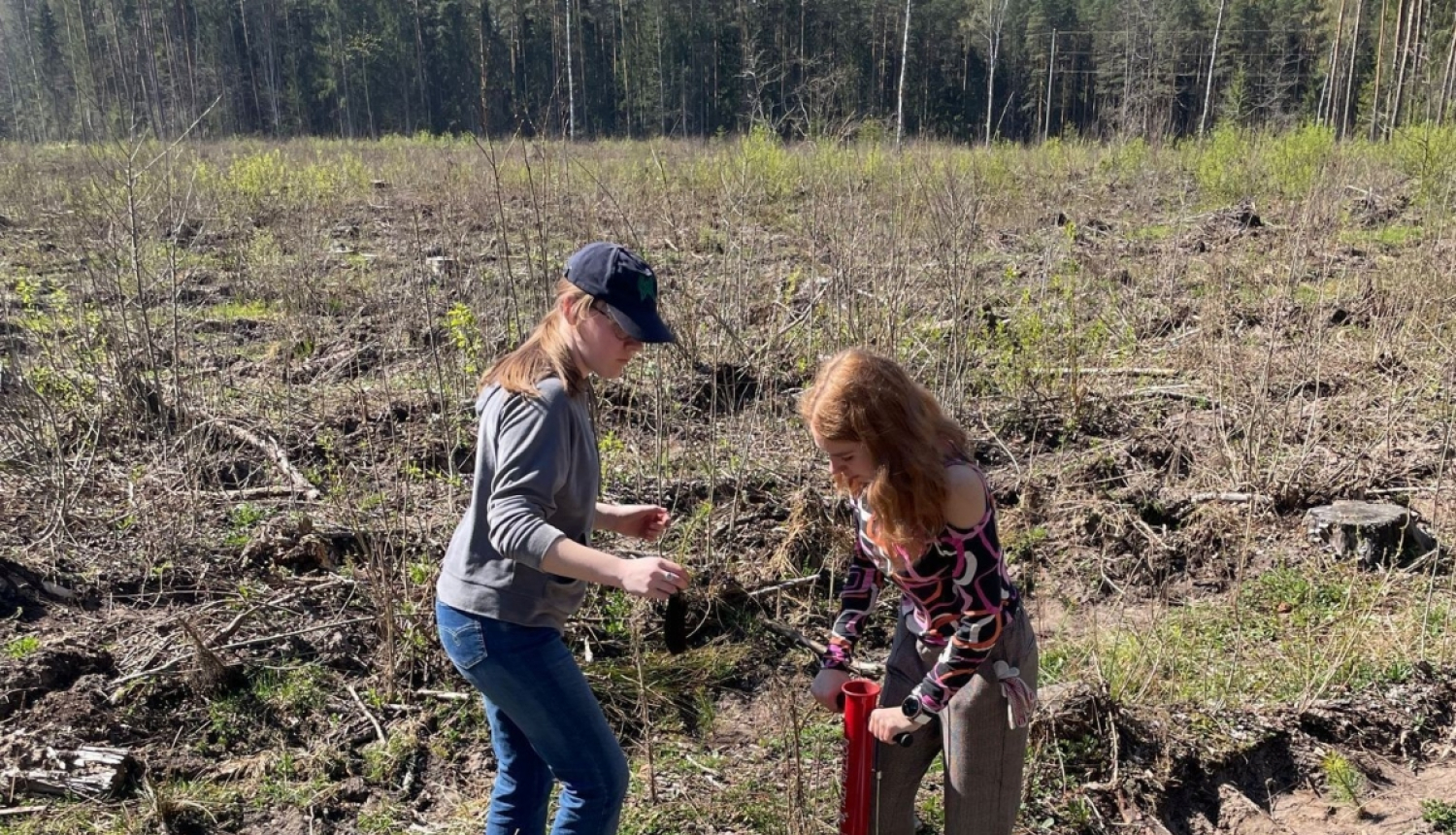 Ogresgala pamatskolas skolēni atjauno mežu Rembatē 22.04.2023.