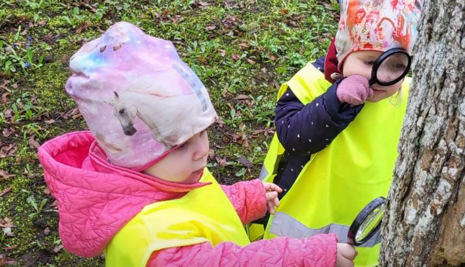 Jumpravas pamatskolas pirmsskolas grupu bērni iepazīst mežu