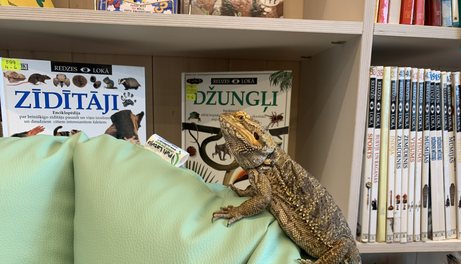 Agāma Ogres centrālās bibliotēkas kanisterapijas nodarbībās