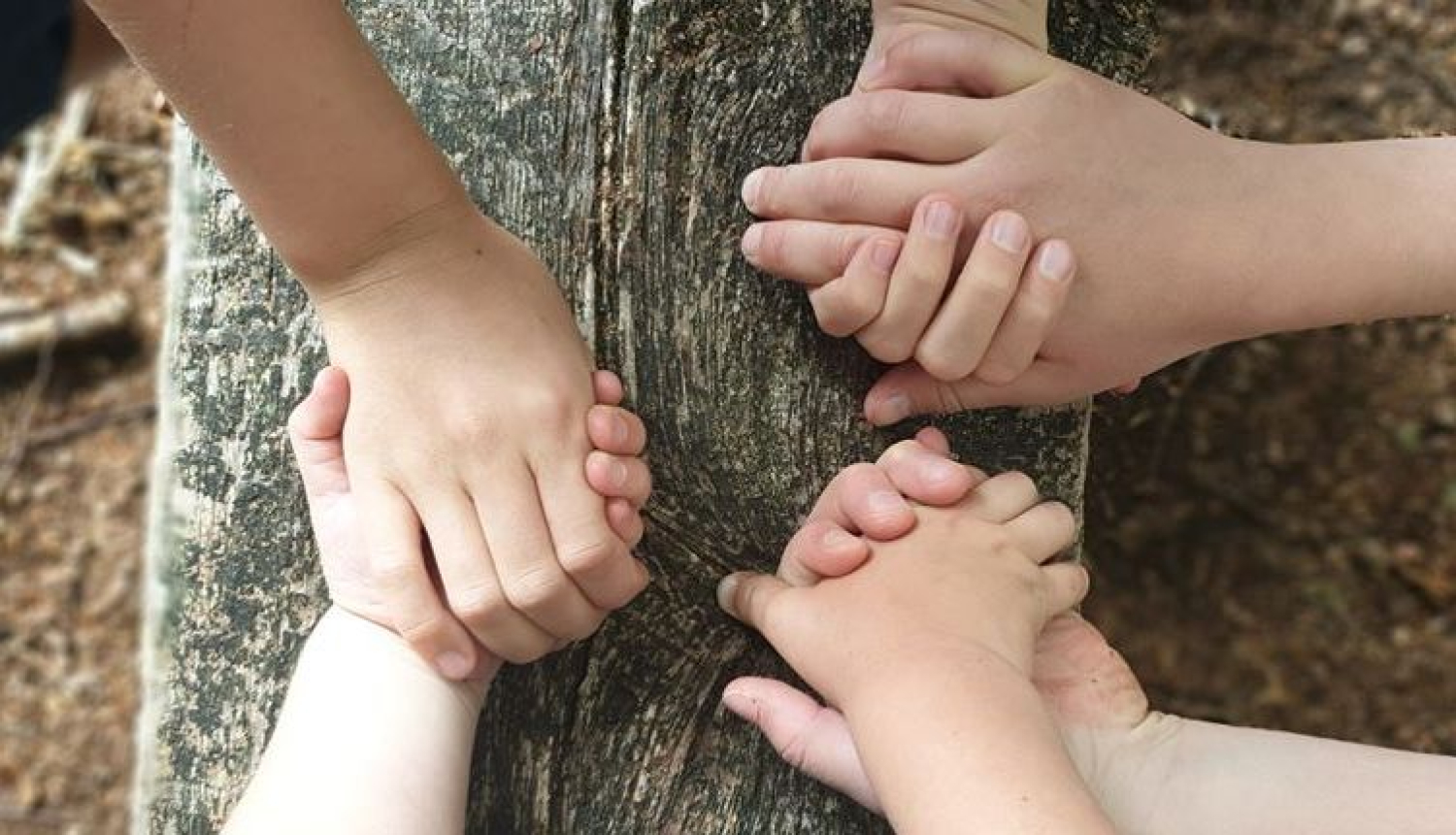 Ogres Baltā skola aicina uz tikšanos pirmklasnieku vecākus!