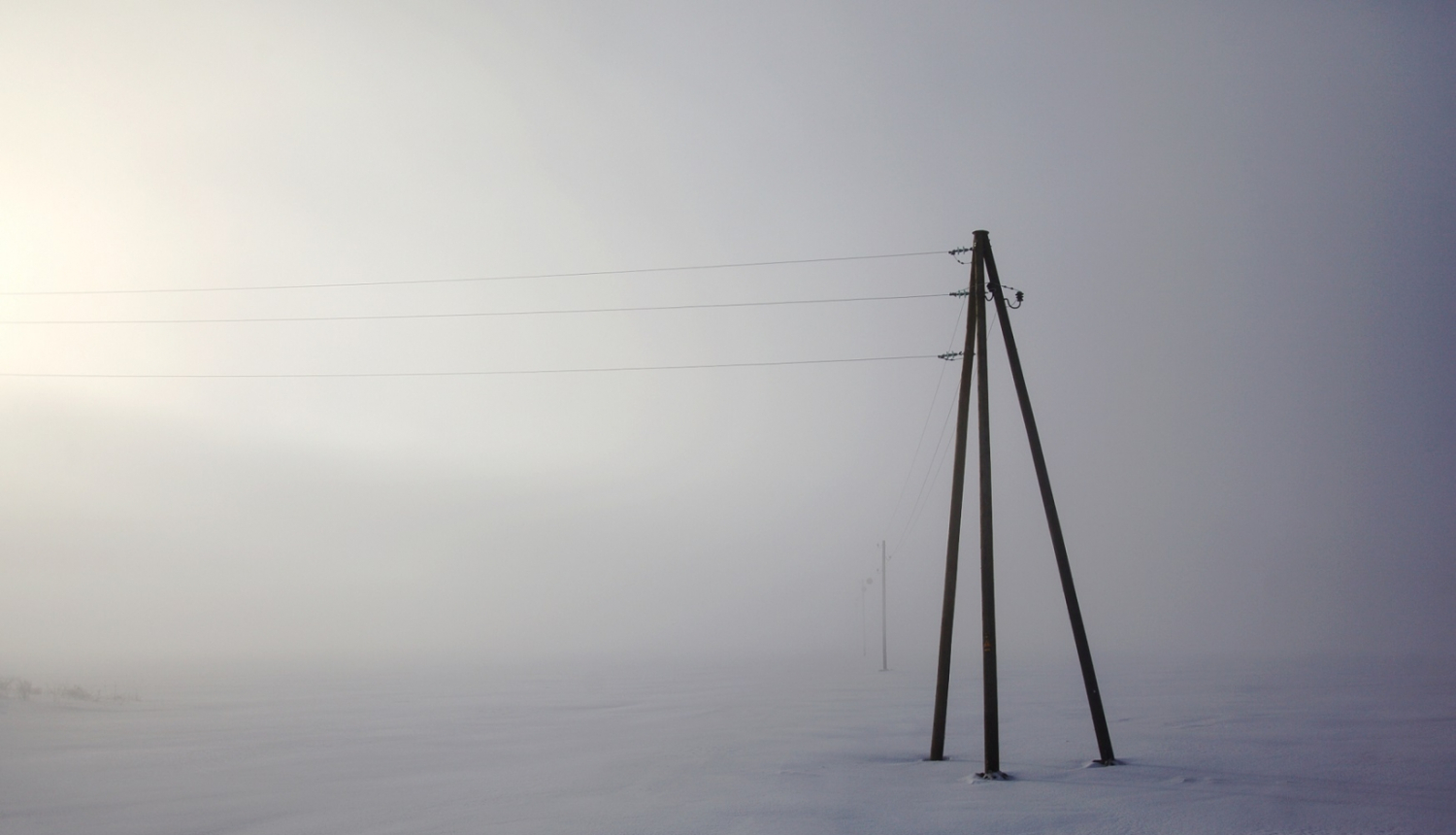 Elektrības stabi ar vadiem sniegotā laukā