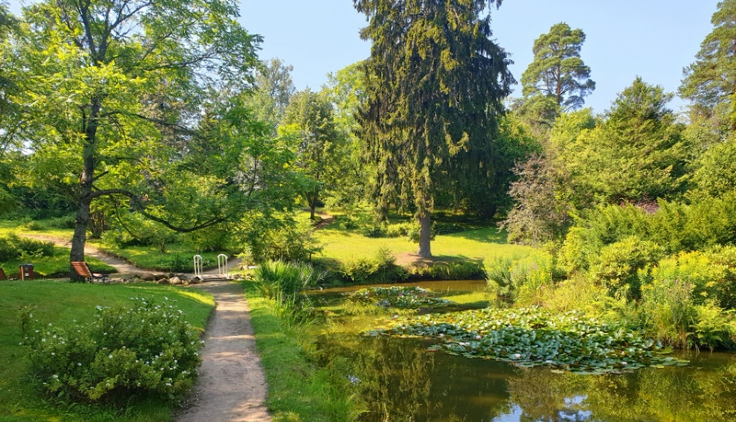 Špakovska parkā tiks papildināti stādījumi