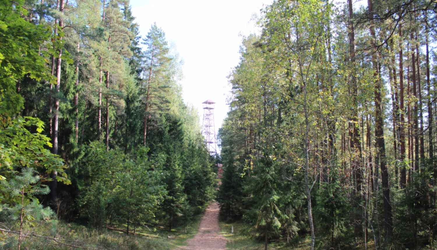 Zilie kalni tornis