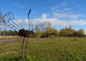 Projekts "Lido dzērves"