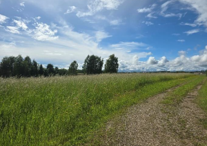  Nekustamā īpašuma Krastmalas ielā 16, Birzgalē, izsole. Ainava.