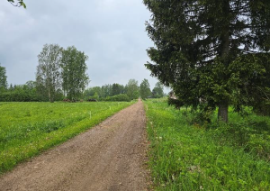 Nekustamā īpašuma “Ziediņi”, Mazozolu pagasts, Ogres novads, atsavināšanas izsole