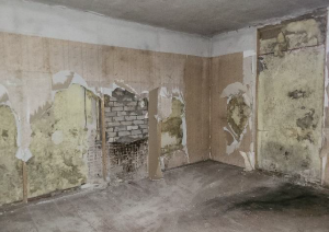 Nekustamā īpašuma “Ciemupes”- 4, Ciemupē,  Ogresgala pagastā, Ogres novadā, atsavināšanas izsole