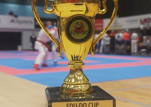 1. februārī Tallinā norisinājās lielais starptautiskais karatē čempionāts Edu Do Cup 2025. Ogres sportisti saņem 4 bronzas medaļas