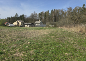 Nekustamā īpašuma Lakstīgalu iela 3B, Lielvārde, Ogres novads, kadastra numurs 7413 001 0610, atsavināšanas izsole