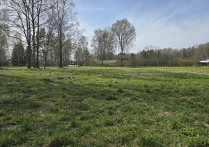 Nekustamā īpašuma Lakstīgalu iela 3B, Lielvārde, Ogres novads, kadastra numurs 7413 001 0610, atsavināšanas izsole