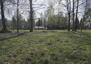 Nekustamā īpašuma Lakstīgalu iela 3B, Lielvārde, Ogres novads, kadastra numurs 7413 001 0610, atsavināšanas izsole
