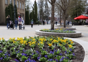 Apzaļumošana Ogrē. 12.04.2022.