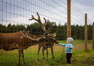 Rudens brīvlaiks Ogres novadā – piedzīvojumi un atpūta visai ģimenei