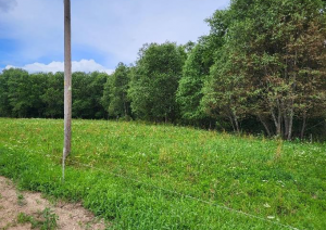 Zemes gabals - pļava ar elektrības stabu